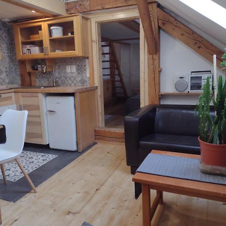ברטיסלאבה Studio Blizko Centra, Zilinska 20 מראה חיצוני תמונה